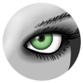 meshlab_logo_left_eye.png